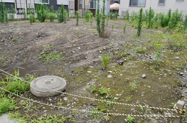 空き家に資産価値がない場合